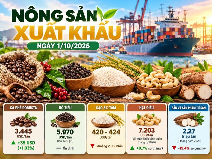 Nông sản xuất khẩu ngày 1/10: Robusta bật tăng, gạo 5% tấm về 420 - 424 USD/tấn. Ảnh được tạo với sự hỗ trợ của AI.