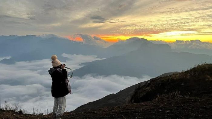 Tổ Ong Adventure