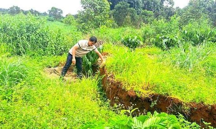 Vườn của ông Ngọc bị nứt và lún sâu.