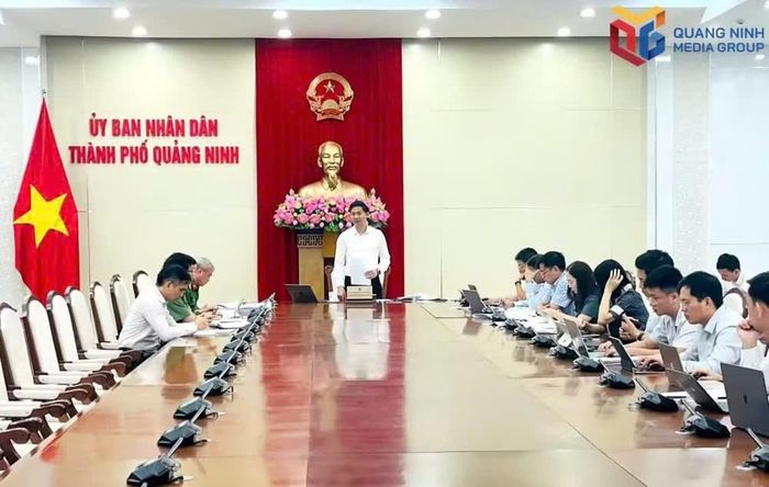UBND Quảng Ninh về tiến độ thực hiện hoàn thành cơ sở dữ liệu đất đai trên địa bàn.