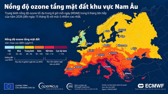 Bản đồ nồng độ ozone tầng mặt đất châu Âu giai đoạn tháng 15/3 - 15/9/2026. (Nguồn: ECMWF)