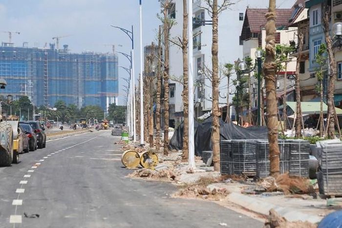 Hàng cây xanh trên vỉa hè đã được trồng, bọc đệm bảo vệ cẩn thận, hứa hẹn tạo nên trục cảnh quan xanh mát khi đưa vào vận hành.