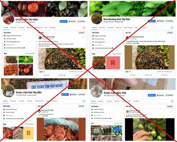 Mạnh lập nhiều tài khoản facebook để kinh doanh. Ảnh: Cục An ninh mạng.