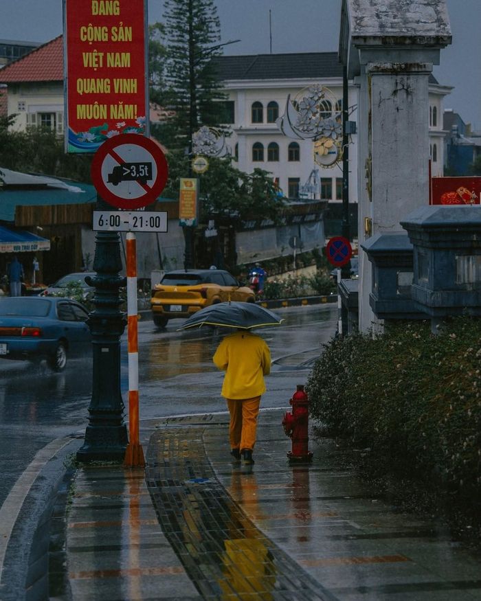 Khung cảnh Đà Lạt vào mùa mưa năm nay. Ảnh: Bùi Huy Tưởng.