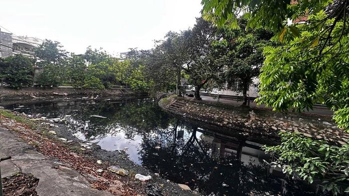 Người dân sống quanh khu vực rất mong cơ quan chức năng quan tâm để trả lại môi trường xanh, sạch, đẹp