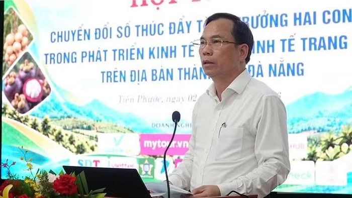 Giám đốc Sở Khoa học và Công nghệ thành phố Đà Nẵng Nguyễn Thanh Hồng phát biểu tại hội thảo. (Ảnh: QV)