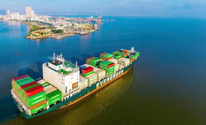 Các tàu hàng siêu trường, siêu trọng cập cảng Quy Nhơn (Gia Lai) để bốc dỡ, nhập khẩu hàng hóa. Ảnh: DŨNG NHÂN