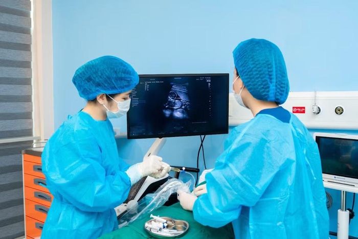 Chọc ối cho thai phụ để xét nghiệm di truyền - Ảnh BVCC