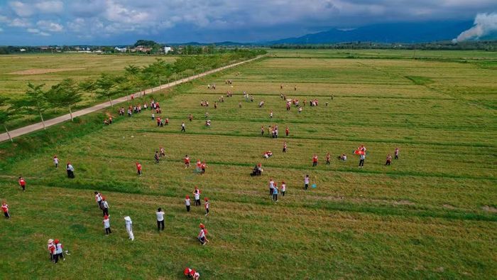 Cánh đồng trở thành không gian trải nghiệm, vui chơi đầy tiếng cười của học sinh.