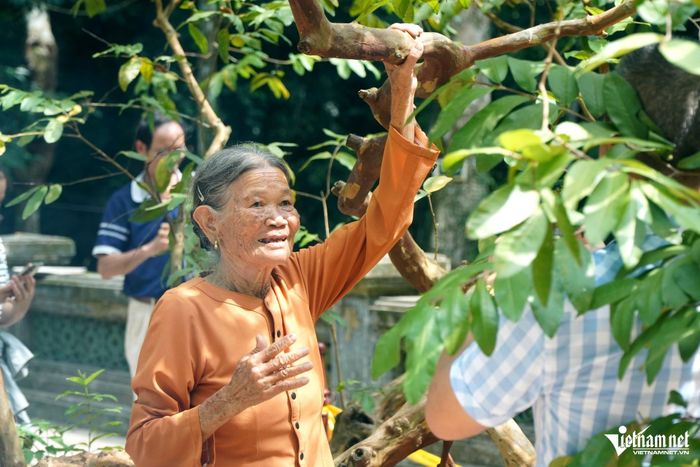 Người dân thích thú trải nghiệm gãi cho cây ổi "cười".