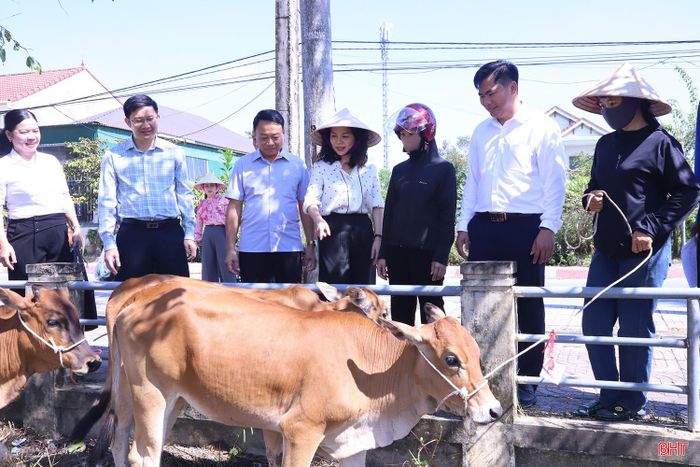 Các hộ dân được nhận hỗ trợ bò sinh sản từ chương trình phải có đủ điều kiện về nhân lực, chuồng trại, đất đai, mặt bằng hoặc các điều kiện cần thiết khác phù hợp với mô hình; được trang bị kiến thức và hướng dẫn kỹ thuật về chăn nuôi, sản xuất, kinh doanh.
