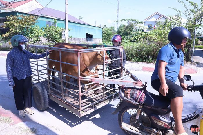 Chương trình hỗ trợ mô hình sinh kế là một trong những giải pháp góp phần thực hiện mục tiêu giảm nghèo bền vững, xây dựng nông thôn mới, đô thị văn minh, ổn định đời sống người dân và thúc đẩy phát triển kinh tế - xã hội trên địa bàn tỉnh.