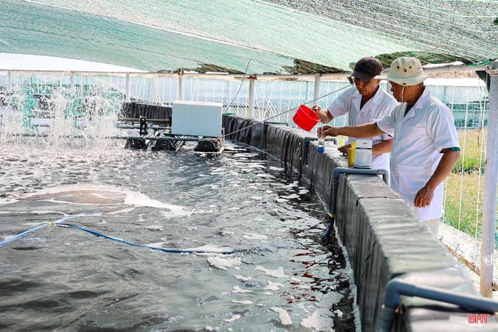 Nguồn nước nuôi tôm được kiểm tra chặt chẽ.