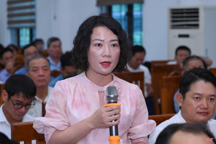 Bà Lê Thị Huyền Trang - cử tri xã Đức Thọ đề nghị cần quan tâm đầu tư hệ thống kè chống sạt lở bờ sông La