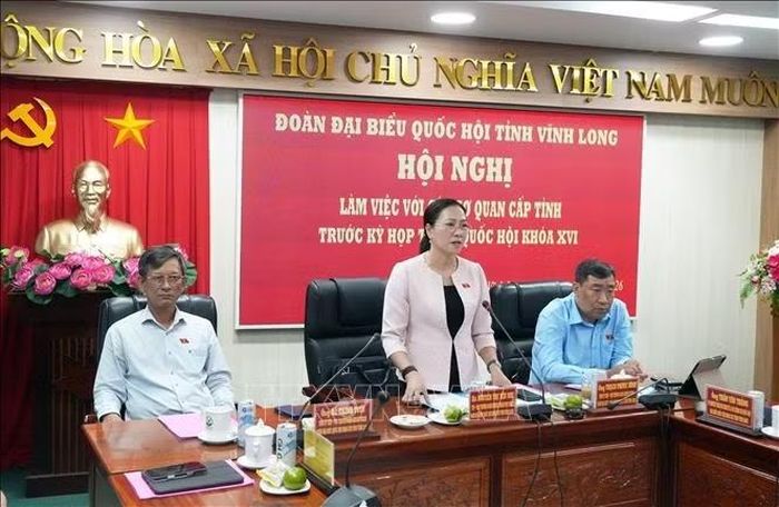 Phó Trưởng Đoàn chuyên trách phụ trách Đoàn đại biểu Quốc hội tỉnh Vĩnh Long Nguyễn Thị Yến Nhi phát biểu tại buổi làm việc.