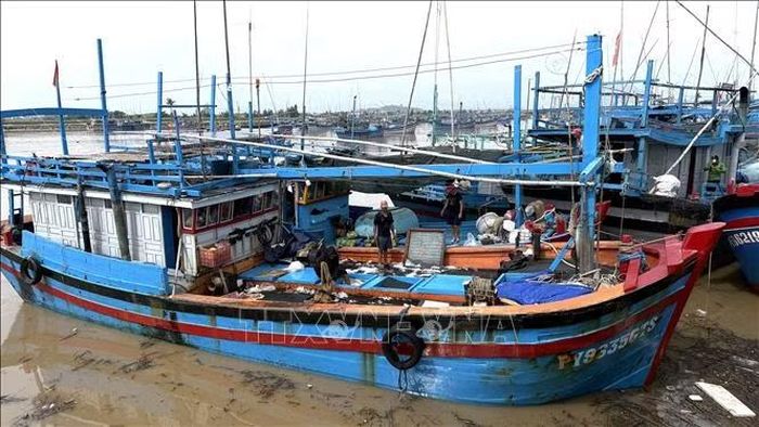 Ngư dân tại cảng cá Đông Tác (phường Phú Yên, tỉnh Đắk Lắk) chuẩn bị vươn khơi bám biển.