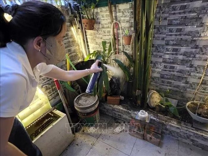 Người dân Đà Nẵng chủ động phun thuốc diệt muỗi tại các khu vực xung quanh nhà để phòng dịch.