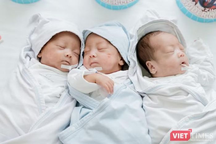 Ba bé trong những ngày chăm sóc đặc biệt. Ảnh: Minh Thuận.