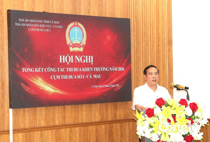 Ông Đặng Quốc Khởi - Tỉnh ủy viên, Phó Chánh án TAND tỉnh Cà Mau phát biểu chỉ đạo hội nghị