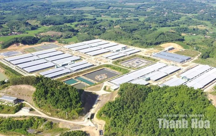 Khu liên hợp sản xuất, chăn nuôi công nghệ cao Xuân Thiện Thanh Hóa, xã Minh Sơn với tổng vốn đầu tư hơn 3.000 tỷ đồng hoàn thành đi vào hoạt động. Ảnh: Hải Đăng