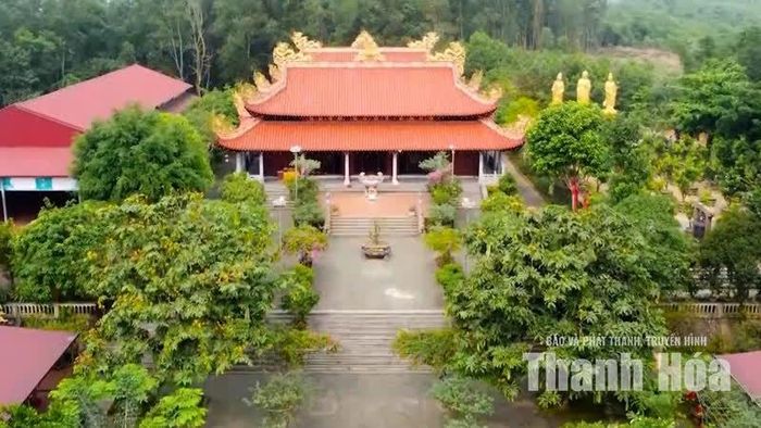 Điều làm nên sức sống của chùa Mèo không chỉ là tuổi đời, mà là những lớp văn hóa đang hiện diện trong đời sống hôm nay.