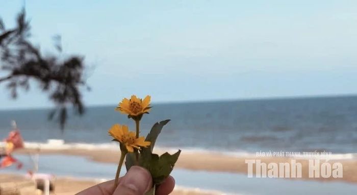Ai đã từng đến Tiên Trang vào một buổi chiều sóng êm, gió lặng hẳn sẽ nhớ mãi khoảnh khắc ngày chậm rãi khép lại trong những cảm xúc yên bình, thấy lòng mình nhẹ tênh trước biển trời mênh mang.