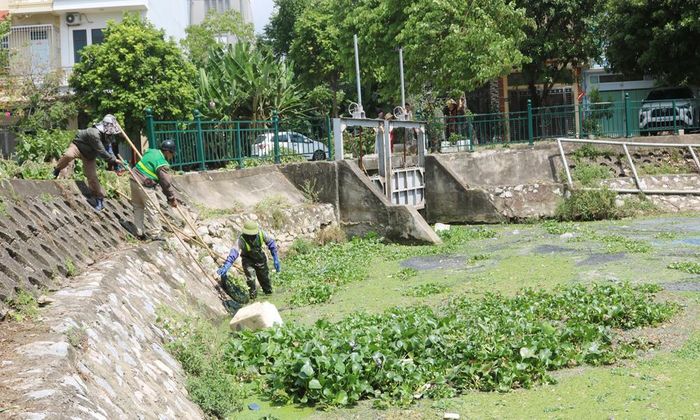  Các công nhân thuộc Công ty Quản lý công trình đô thị Bắc Giang tiến hành dọn vớt bèo và chất thải ở hồ Đầm Sen. 