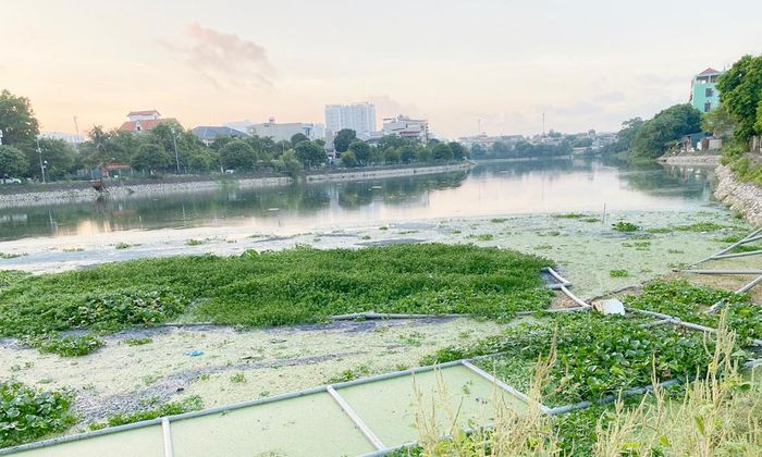  Hồ Đầm Sen bị ô nhiễm nặng, gây mùi khó chịu, ảnh hưởng đến sinh hoạt của người dân. 
