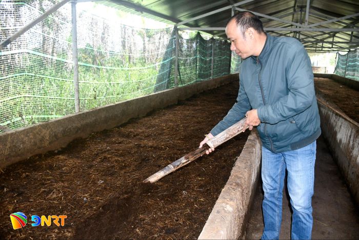 Người dân tạo phân bón hữu cơ từ chăn nuôi để bón cho cây trồng trong mô hình nông nghiệp kết hợp. Ảnh: QUANG VIỆT