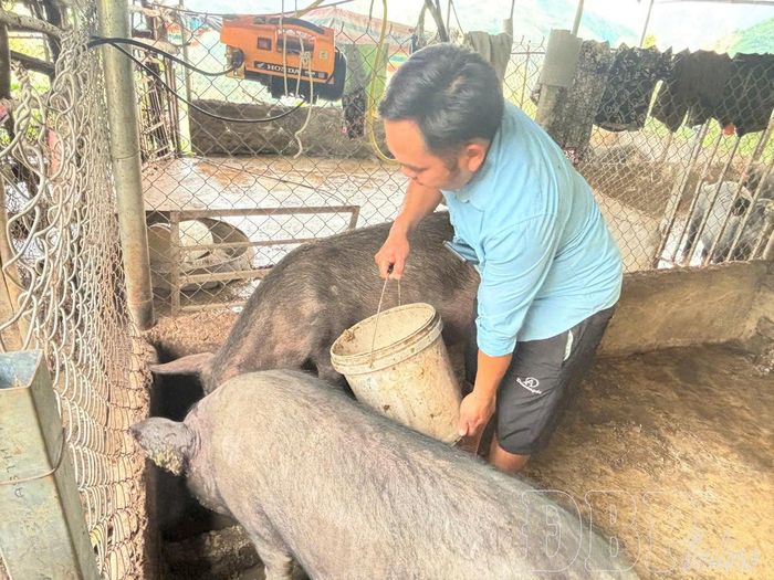 Đảng viên Chi bộ Huổi Lướng, xã Mường Lạn chăm lo phát triển kinh tế.