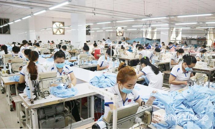 May mặc là một trong những ngành thế mạnh tại xã Bình Phú.