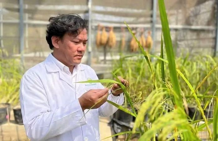 Nhiều năm qua, TS. Nguyễn Thanh Liêm theo đuổi các nghiên cứu gắn với thực tiễn sản xuất nông nghiệp. Ảnh: NVCC