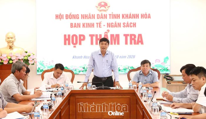 Lãnh đạo Ban Kinh tế - Ngân sách HĐND tỉnh phát biểu tại cuộc họp thẩm tra.