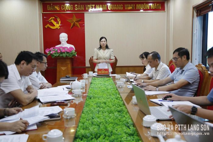 Đồng chí Phó Chủ tịch UBND tỉnh phát biểu kết luận tại cuộc họp