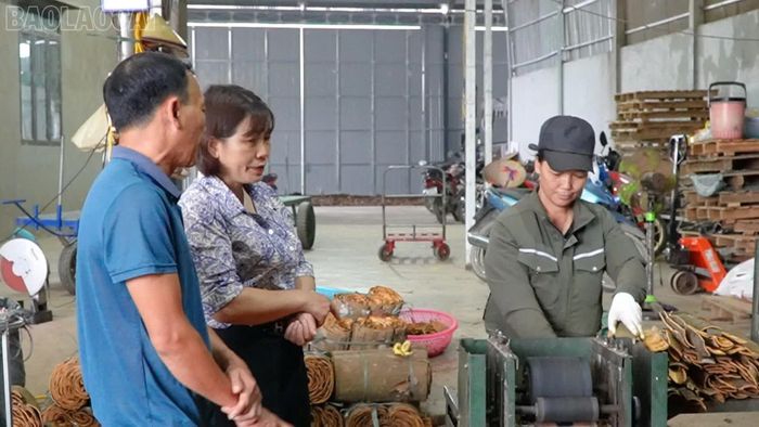 Nhờ nguồn vốn vay từ Ngân hàng Chính sách xã hội, Công ty TNHH Vững Huyền HT có điều kiện đầu tư thêm máy móc, thiết bị phục vụ sản xuất.