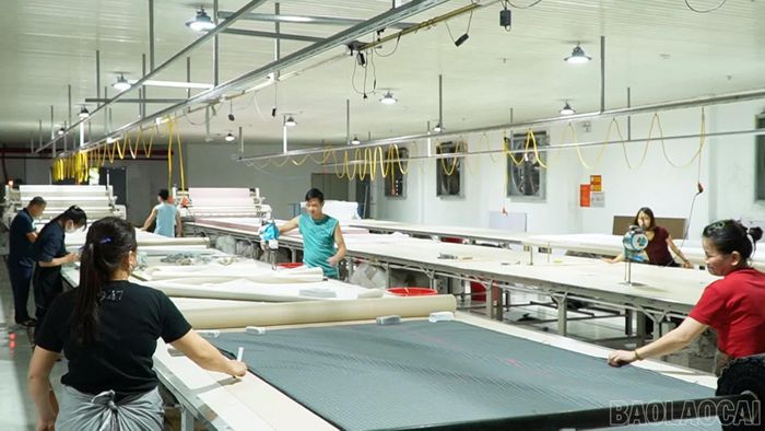 Hệ thống dây chuyền, máy móc hiện đại của Công ty TNHH Xuất khẩu may Phú Sơn được đầu tư nhờ nguồn vốn vay ngân hàng.
