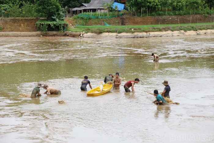 Đây cũng là dịp để ngành nông nghiệp rà soát diện tích nuôi trồng thủy sản tại cơ sở, cập nhật đầy đủ vào cơ sở dữ liệu thủy sản của tỉnh.