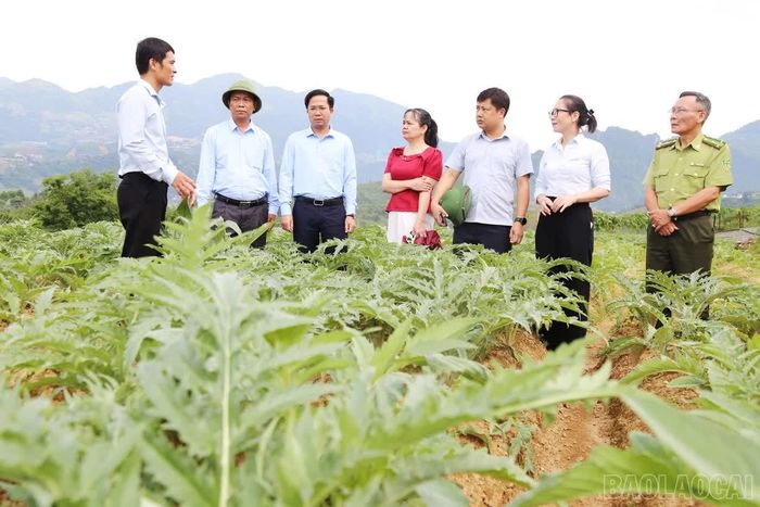 Cán bộ Sở Nông nghiệp và Môi trường kiểm tra thực địa.