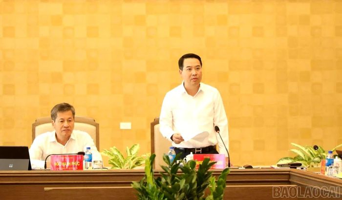 Đồng chí Nguyễn Tuấn Anh - Chủ tịch UBND tỉnh phát biểu kết luận hội nghị.
