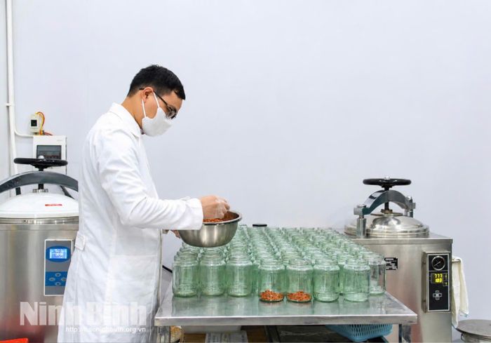 Quy trình sản xuất của HTX Dược thảo Minh Đức, xã Nam Xang ứng dụng nhiều công nghệ, máy móc hiện đại.