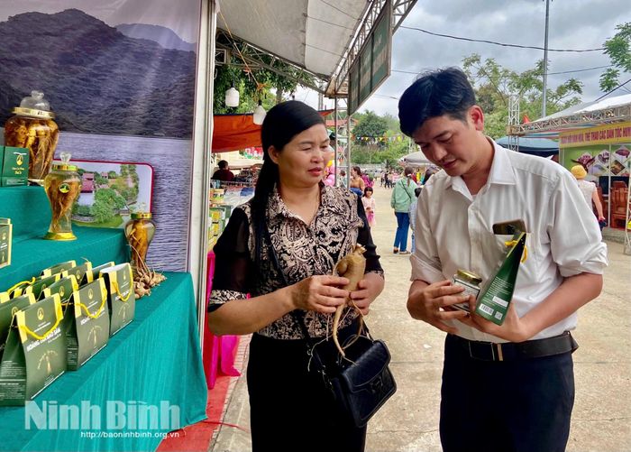 Sản phẩm của HTX Sâm Cúc Phương đã có mặt tại nhiều thị trường trong nước.