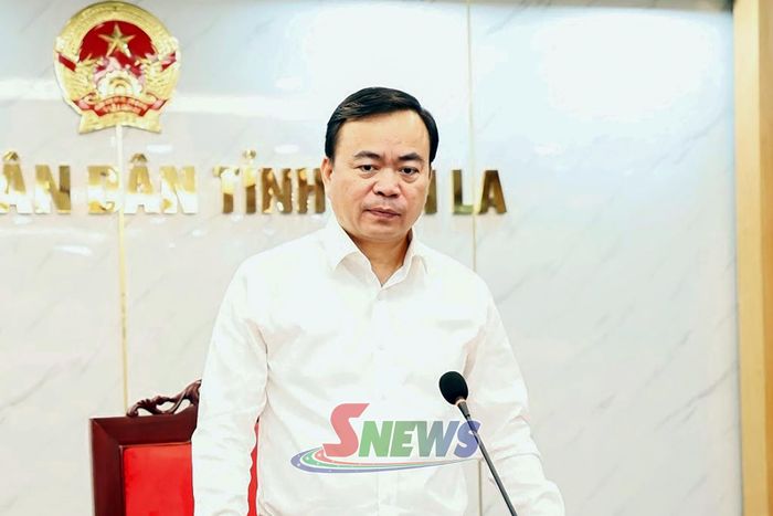 Đồng chí Phó Chủ tịch Thường trực UBND tỉnh phát biểu chỉ đạo tại cuộc làm việc.