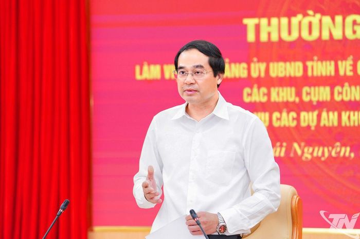 Đồng chí Bí thư Tỉnh ủy Trịnh Xuân Trường phát biểu kết luận.