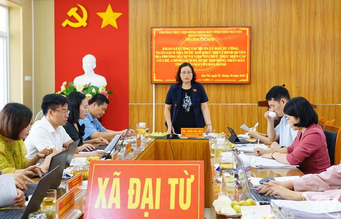 Đoàn giám sát làm việc tại xã Đại Từ.