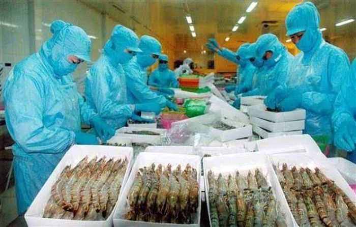 Xuất khẩu thủy sản tháng 9/2026 tiếp tục duy trì trên 1,1 tỷ USD. Ảnh minh họa