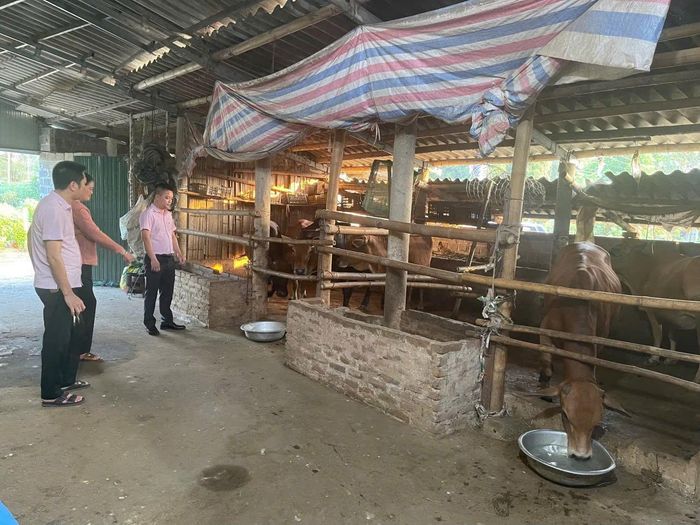 Vốn chính sách kịp thời hỗ trợ người dân Lạc Sơn phát triển sản xuất, giảm nghèo bền vững. Ảnh: Đông Du