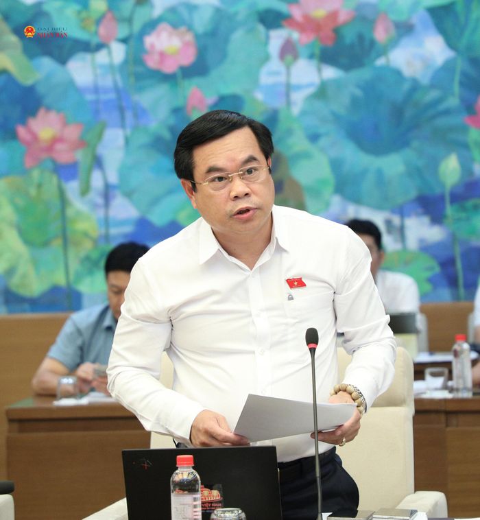 Đại biểu Quốc hội hoạt động chuyên trách tại Ủy ban Khoa học, Công nghệ và Môi trường Vương Quốc Thắng phát biểu tại phiên họp