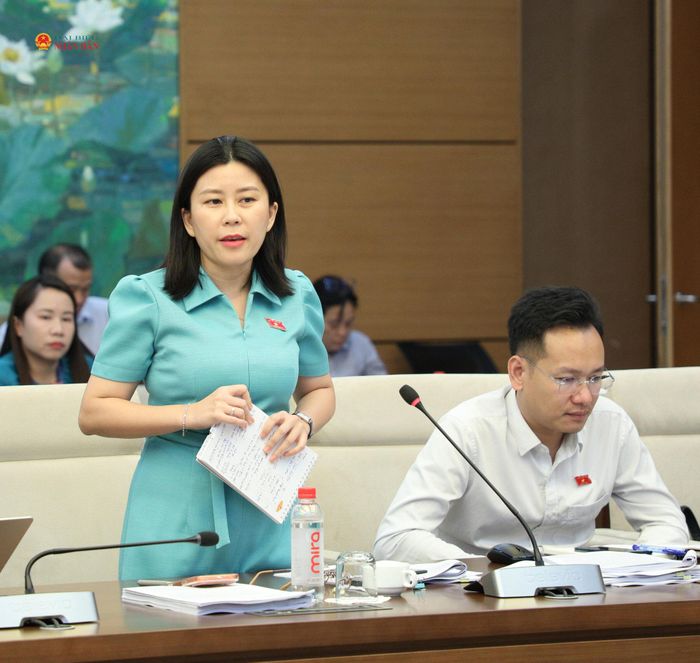Phó trưởng đoàn chuyên trách Đoàn ĐBQH tỉnh Đắk Lắk Lê Đào An Xuân phát biểu