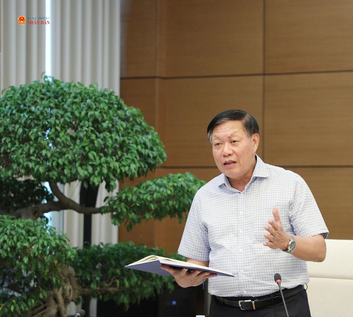 Thứ trưởng Bộ Y tế Đỗ Xuân Tuyên phát biểu tại phiên họp