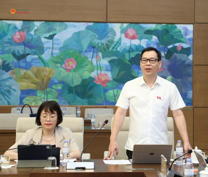 Phó Chủ nhiệm Ủy ban Khoa học, Công nghệ và Môi trường Đỗ Đức Hồng Hà phát biểu